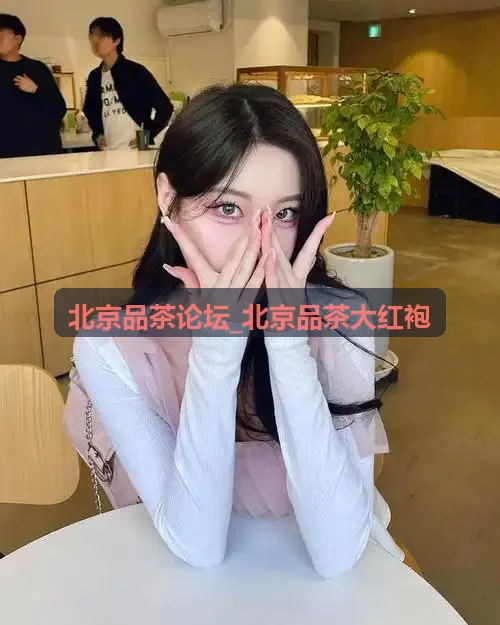 北京品茶论坛_北京品茶大红袍朱泥紫砂壶开壶养壶之道